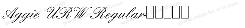 Aggie URW Regular字体转换